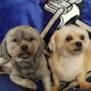 Meet your Posher, Juliet